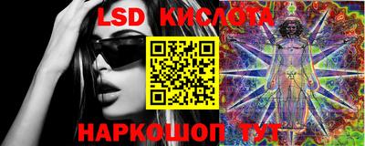 индика Жуковский